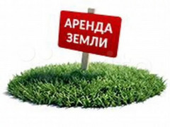 arenda_16