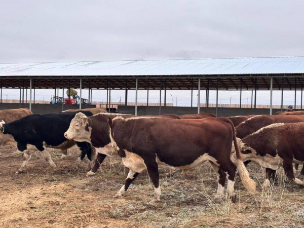 _gluster_2026_1_12_64a3c6