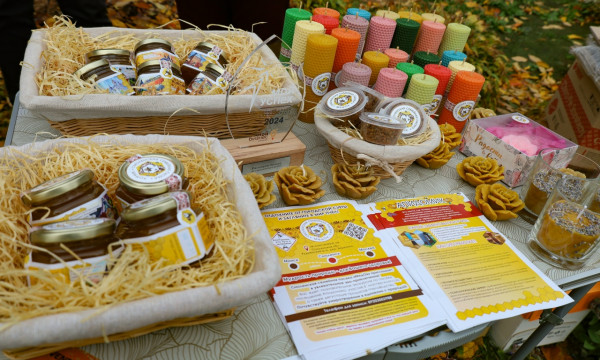 nbzk231cozdse8cfoecvlem-f