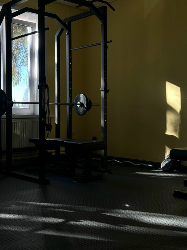 pqlv295erbf7ivvrjvgu4t1iz