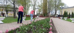 img_20250422_101550_611