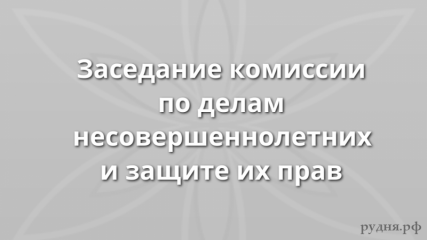 очередное заседание комиссии по делам несовершеннолетних и защите их прав - фото - 1