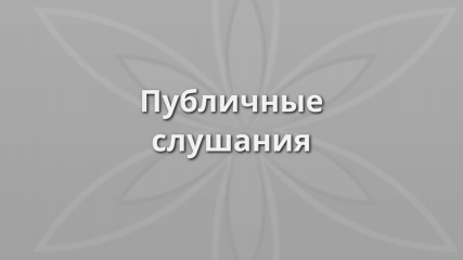 публичные слушания по проекту Устава муниципального образования «Руднянский муниципальный округ» Смоленской области - фото - 1