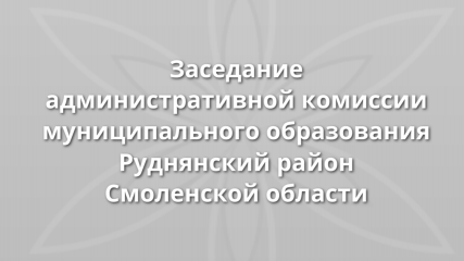 заседание административной комиссии муниципального образования Руднянский район Смоленской области - фото - 1