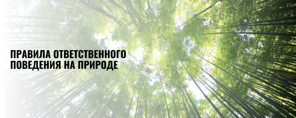 правила ответственного поведения на природе - фото - 1