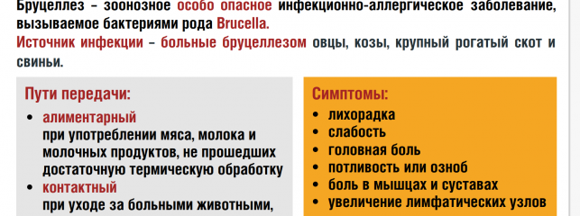 осторожно! Бруцеллез - фото - 1