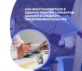 как восстановиться в Едином реестре субъектов малого и среднего предпринимательства - фото - 1