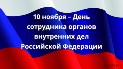 10 ноября — День сотрудника органов внутренних дел Российской Федерации - фото - 1