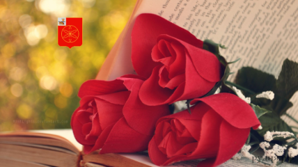 с Днем российского студенчества - фото - 1