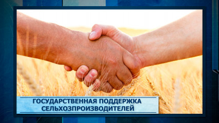 семинар-совещание «Актуальные меры государственной поддержки аграрного сектора: субсидии, льготное кредитование, грантовая поддержка и социальные контракты» - фото - 1