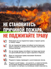 палы сухой травы - фото - 1