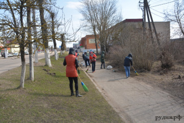 приглашаем принять участие в субботниках по уборке придомовых территорий - фото - 2
