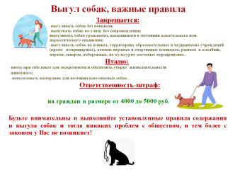 выгул собак, важные правила - фото - 1