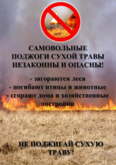 предупреждение о палах сухой травянистой растительности - фото - 1