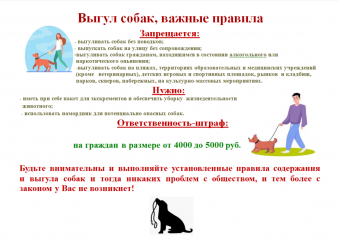 выгул собак, важные правила - фото - 2
