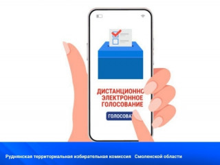 есть вопросы по дистанционному электронному голосованию - фото - 1
