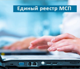 единый реестр субъектов малого и среднего предпринимательства - фото - 1